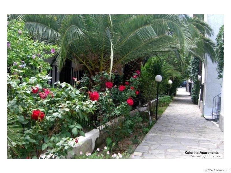 Katerina Apartments Pefkochori Bagian luar foto